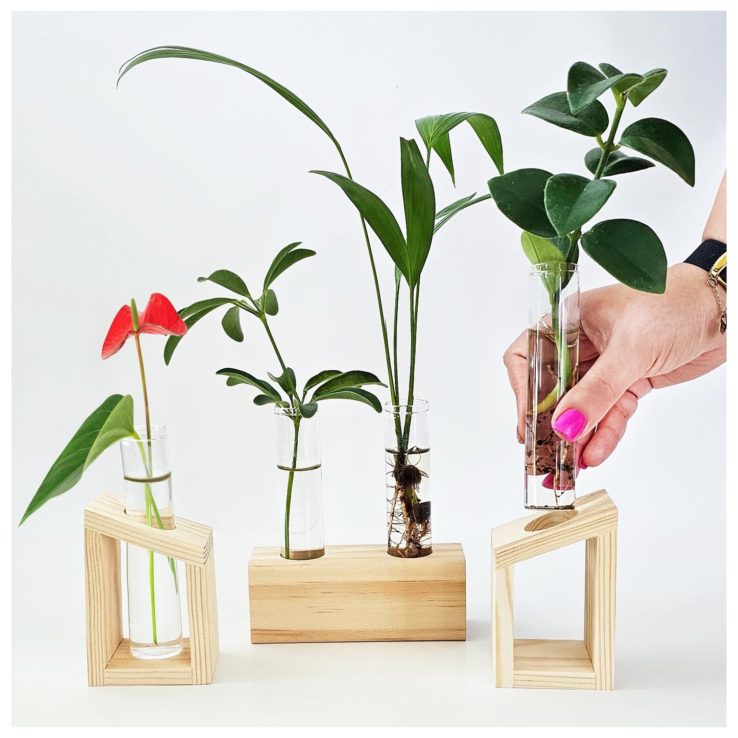 Plant Propagation Station - 3-Piece Wooden Stand with 4 Glass Test Tubes, Terrarium Vases for Plants, Hydroponic Propagation Planter for Home office Decor, Plant Lover Gift.