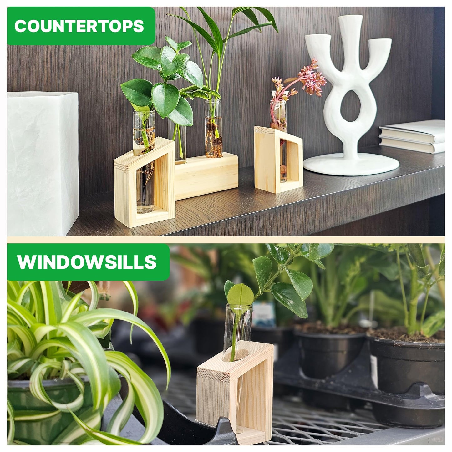 Plant Propagation Station - 3-Piece Wooden Stand with 4 Glass Test Tubes, Terrarium Vases for Plants, Hydroponic Propagation Planter for Home office Decor, Plant Lover Gift.